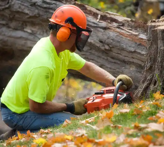 tree services Crescent Valley